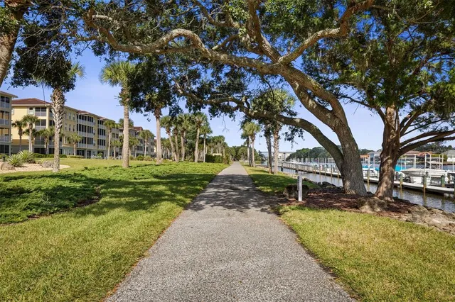 a view of a garden with plants