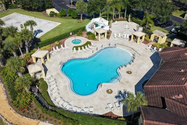 a view of a swimming pool with a garden and plants
