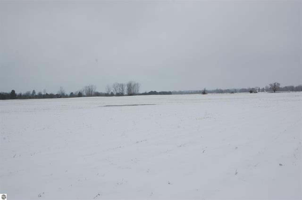 0 Sage Lake Road Hale, MI 48739 - Photo 1 of 5