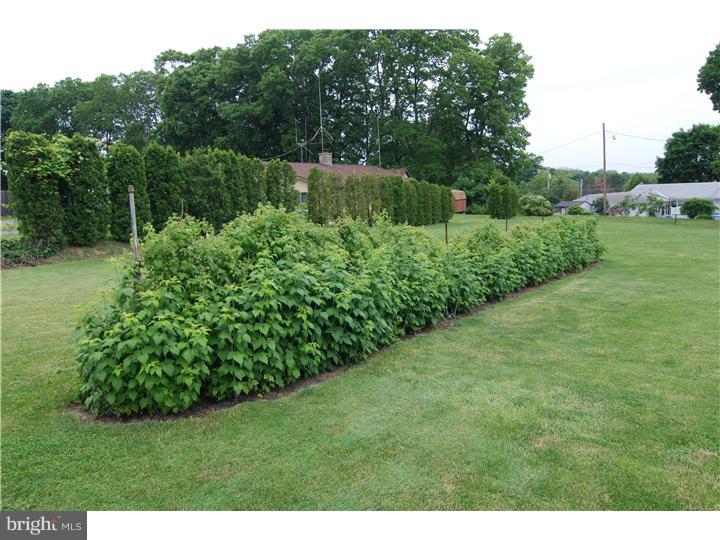 527 Calco Avenue Sinking Spring, PA 19608 - Photo 23 of 25 Garden