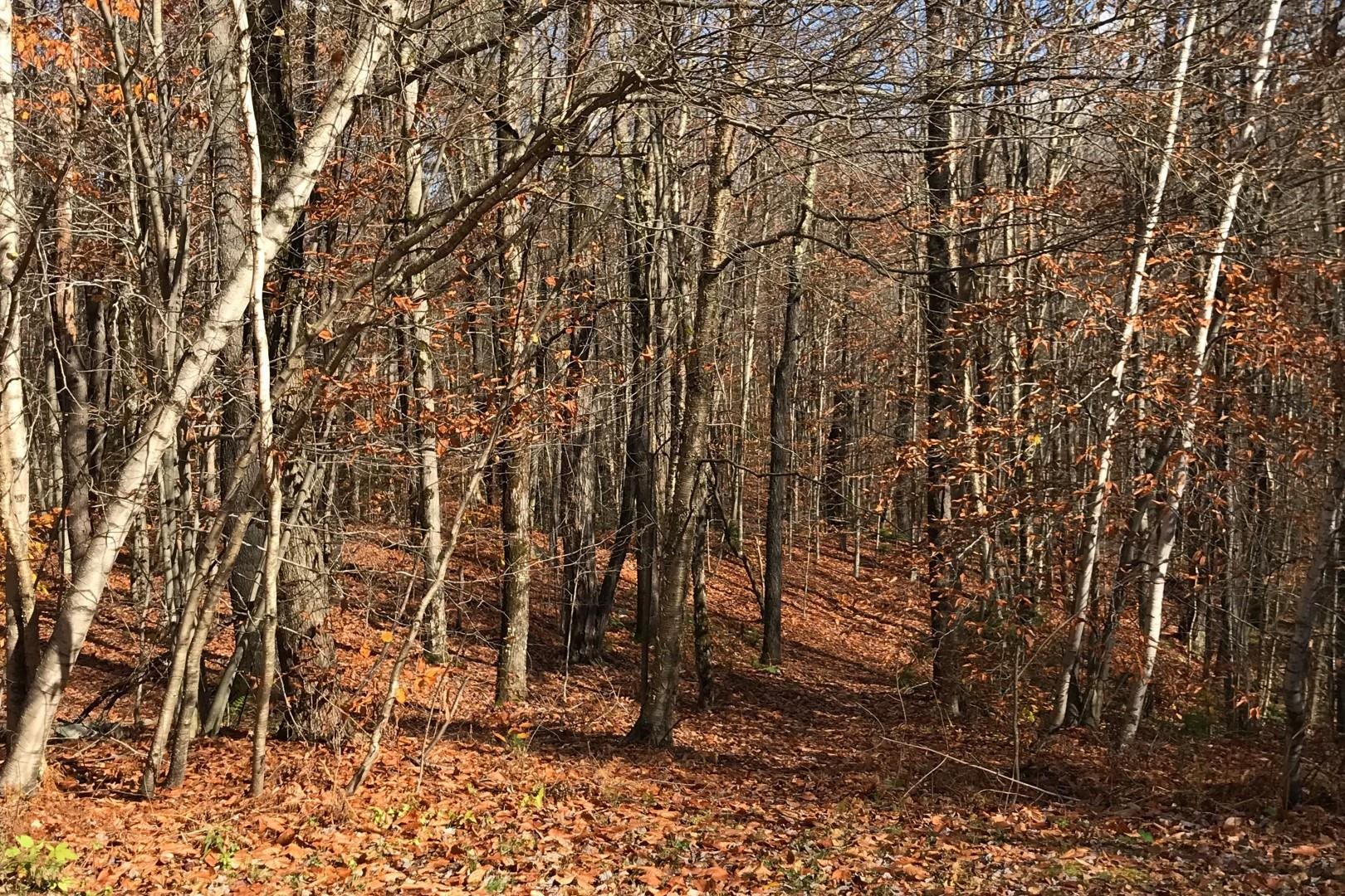 140 Irish Settlement Road Underhill, VT 05489 - Photo 17 of 24