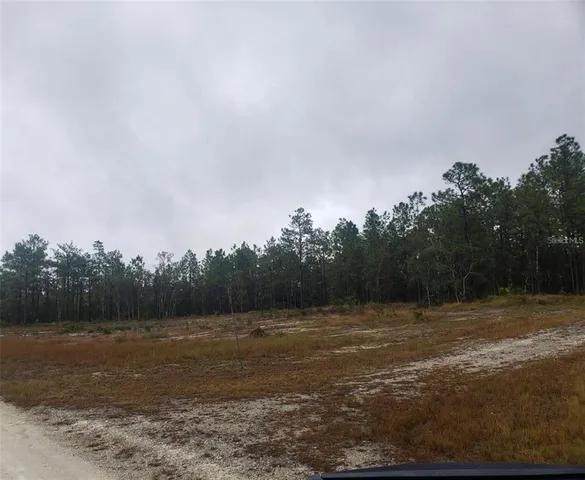 a view of a field with trees in background