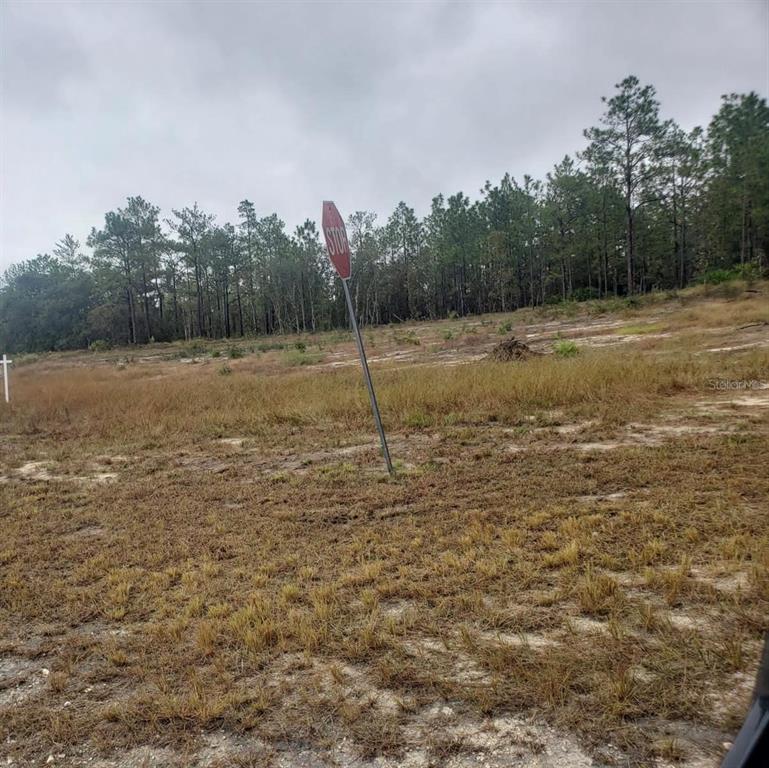 16322 Mexican Eagle Road Brooksville, FL 34614 - Photo 3 of 3 a view of a field with trees in the background