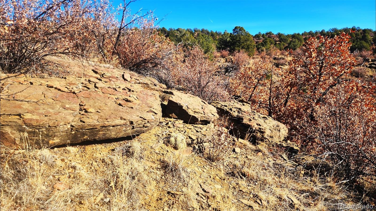 11298 Primero Ranch Trinidad, CO 81082 - Photo 11 of 36 a view of a field with trees in the background