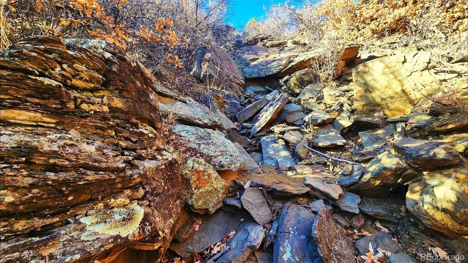 11298 Primero Ranch Trinidad, CO 81082 - Photo 12 of 36 a backyard of a house with lots of green space