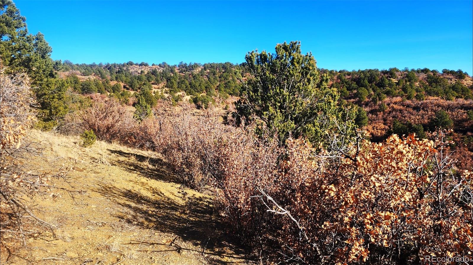 11298 Primero Ranch Trinidad, CO 81082 - Photo 17 of 36 a view of a building