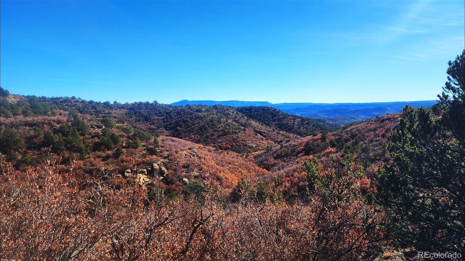 11298 Primero Ranch Trinidad, CO 81082 - Photo 19 of 36 a view of a street