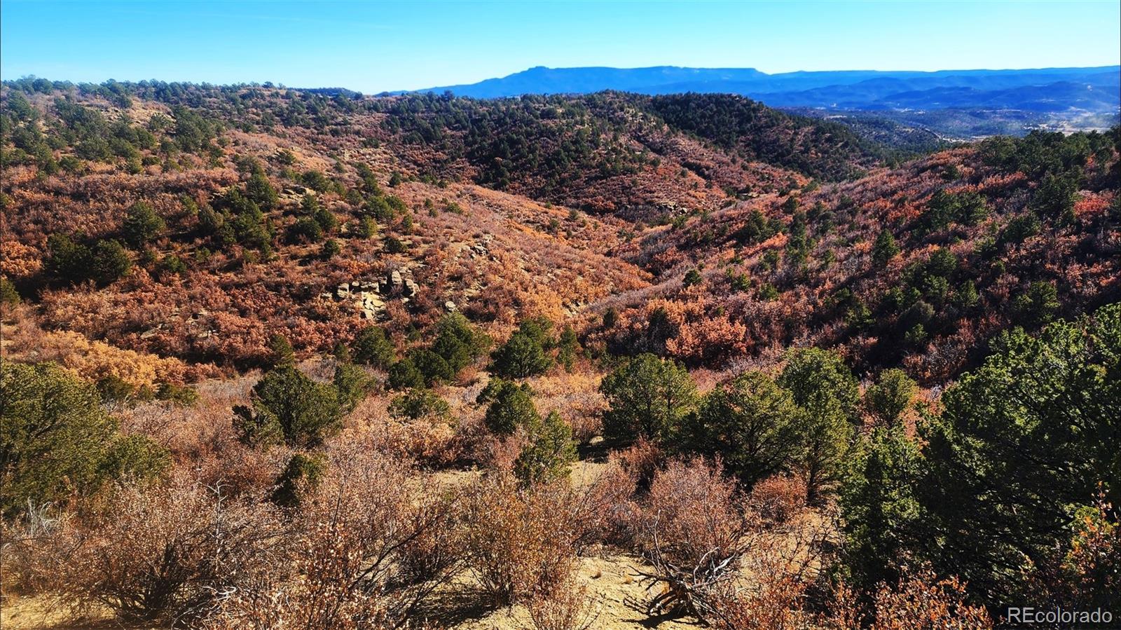 11298 Primero Ranch Trinidad, CO 81082 - Photo 2 of 36 a view of a houses with a lush green hillside
