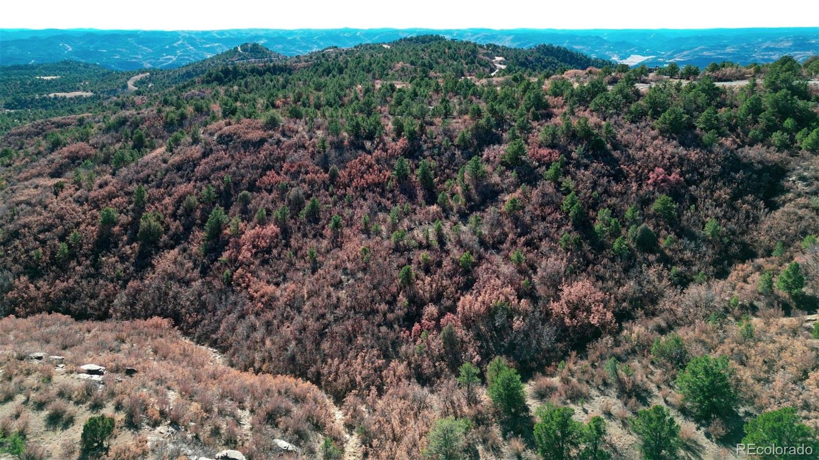 11298 Primero Ranch Trinidad, CO 81082 - Photo 26 of 36 a view of a dry yard with lots of trees