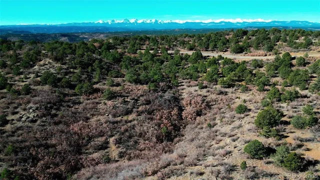 a view of a city with mountains in the background