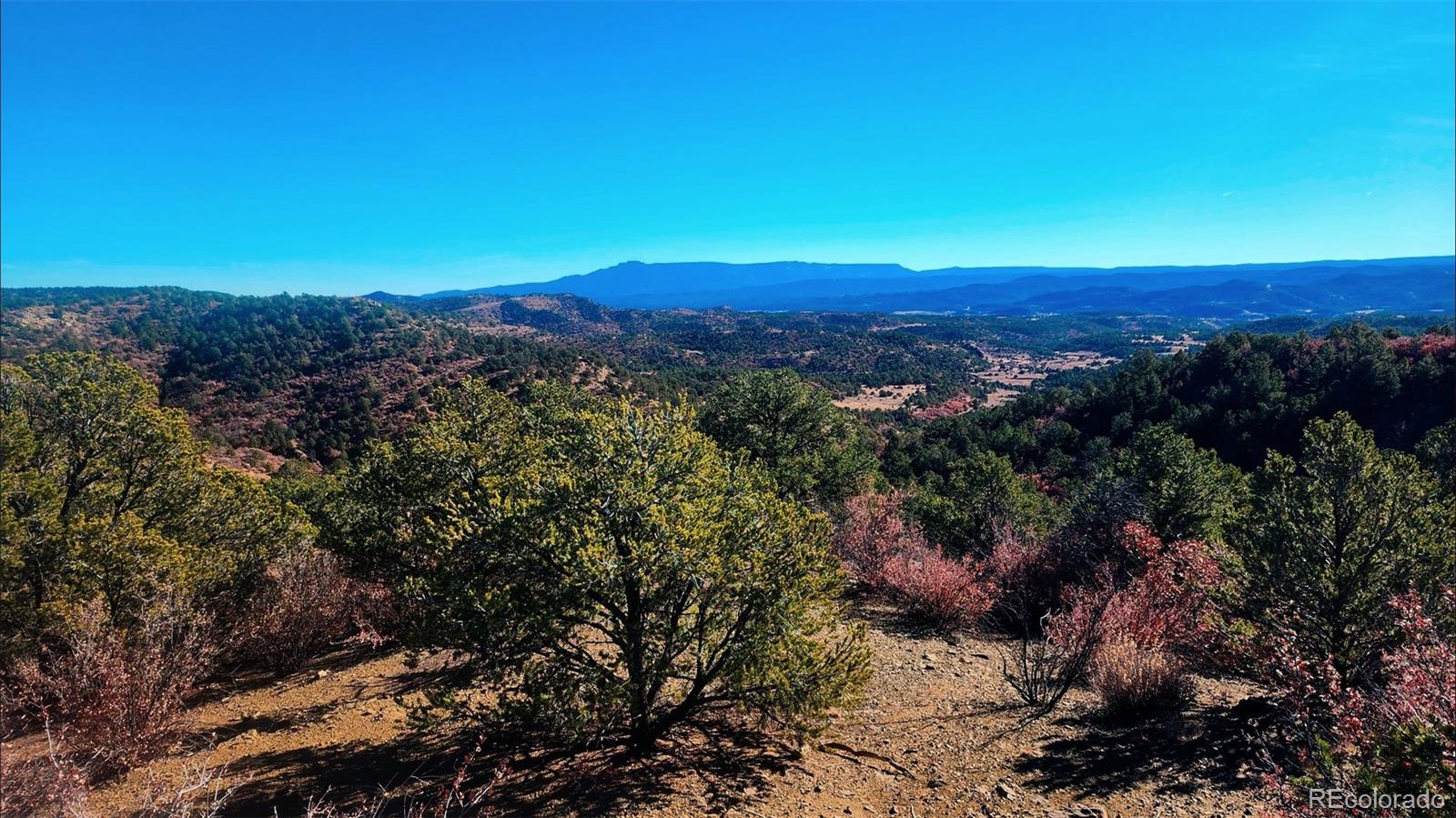11298 Primero Ranch Trinidad, CO 81082 - Photo 4 of 36 a view of a sky