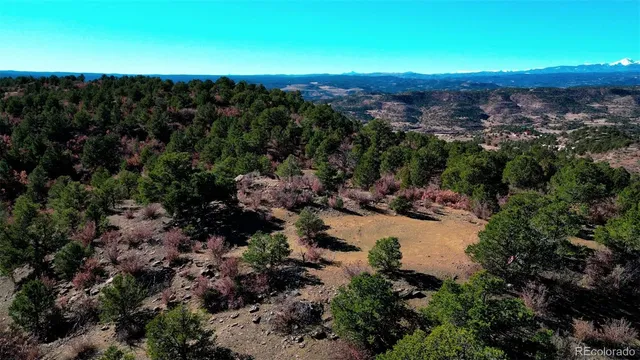 a view of a bunch of trees and houses