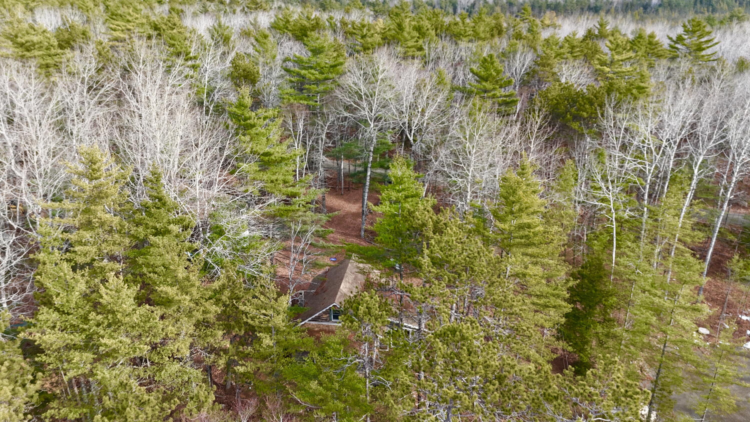 422 Bonney Brook Road Princeton, ME 04668 - Photo 2 of 48