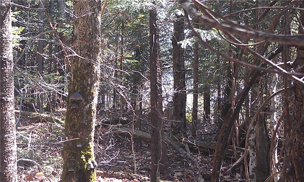 1 Oak Ridge Road Greenville Junction, ME 04442 - Photo 6 of 6 Photo