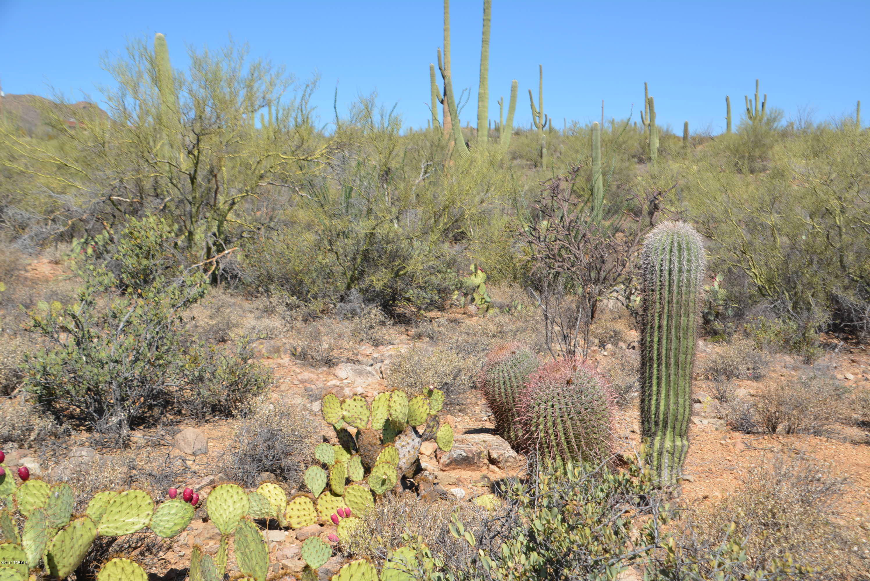 0 Broken Spring Tucson, AZ 85745 - Photo 22 of 24
