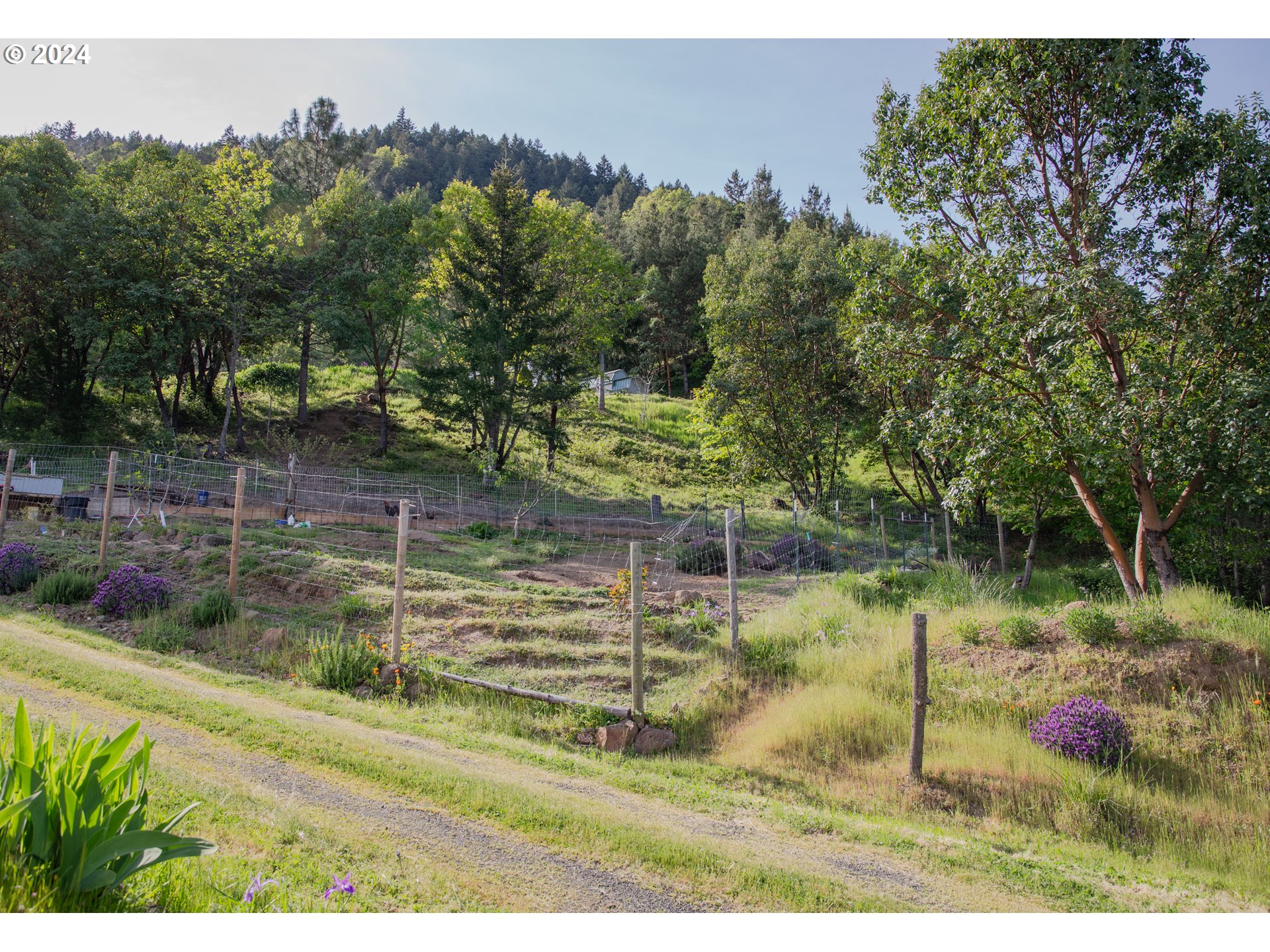 3177 Weaver Road Myrtle Creek, OR 97457 - Photo 25 of 38 Gallery Image 25