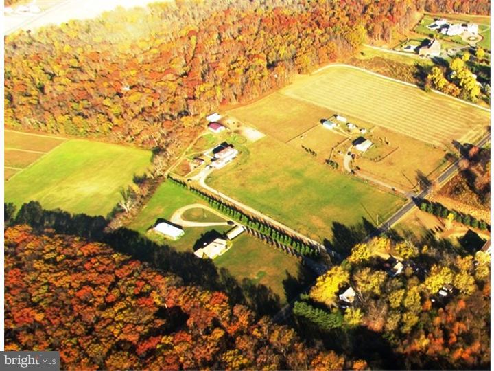 619 Buck Road Pittsgrove, NJ 08318 - Photo 13 of 20 Gallery Image 13