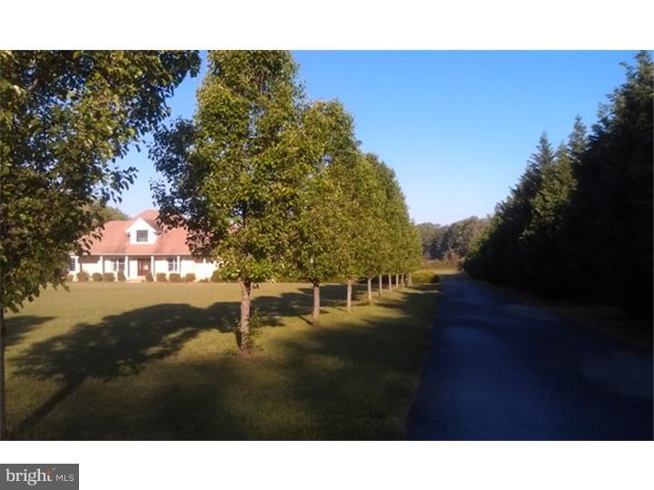 619 Buck Road Pittsgrove, NJ 08318 - Photo 19 of 20 Gallery Image 19