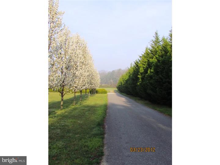 619 Buck Road Pittsgrove, NJ 08318 - Photo 20 of 20 Gallery Image 20