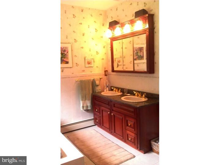 619 Buck Road Pittsgrove, NJ 08318 - Photo 6 of 20 Master Bathroom