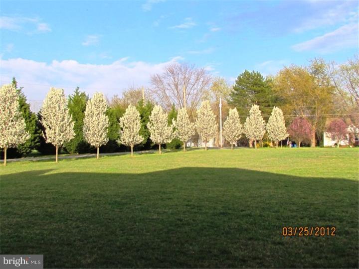 619 Buck Road Pittsgrove, NJ 08318 - Photo 10 of 20 Side Yard