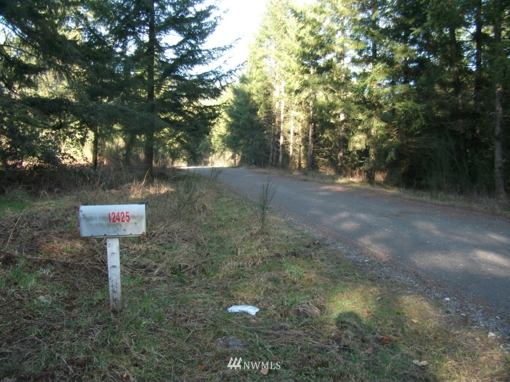 12425 170th Avenue Southwest Rochester, WA 98579 - Photo 4 of 6