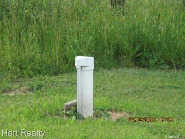 4181 North Van Dyke Road Decker, MI 48426 - Photo 5 of 25 Van Dyke9 - Copy.jpg