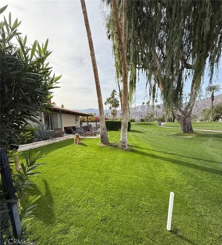 a view of a swimming pool with a yard