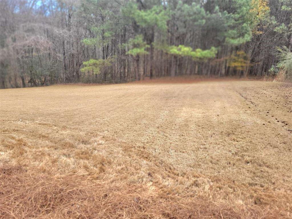 762 Carter Road Jonesboro, GA 30238 - Photo 34 of 37