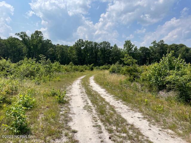 0 Helltown Road Garland, NC 28441 - Photo 2 of 6 INTERIOR ROAD