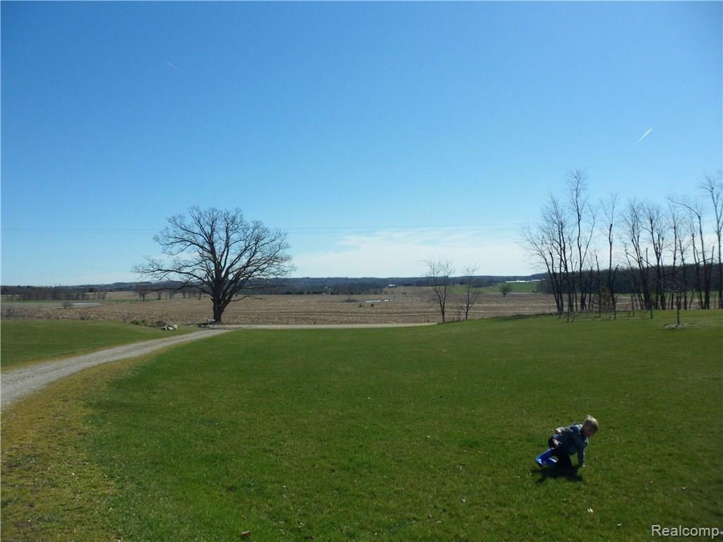 4435 Slattery Road North Branch, MI 48461 - Photo 16 of 17 SAM_0753.JPG