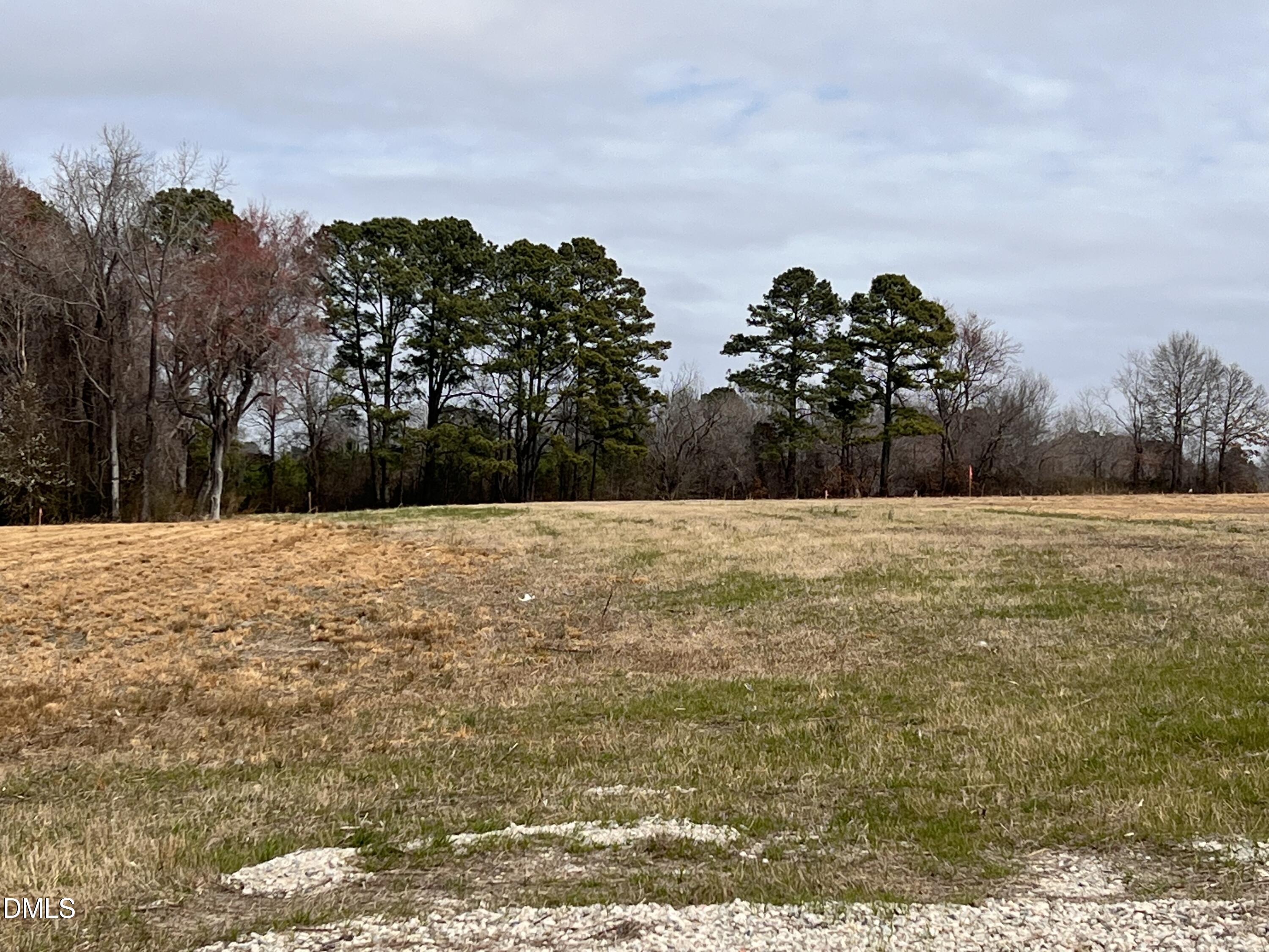 1145 Landmark Road Willow Spring, NC 27592 - Photo 3 of 5 Lot 3 b