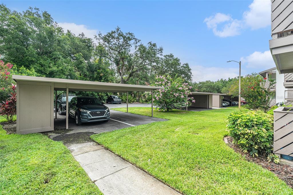 2368 Flanders Way, Unit D Safety Harbor, FL 34695 - Photo 23 of 25 a view of a patio with table and chairs potted plants and a palm tree