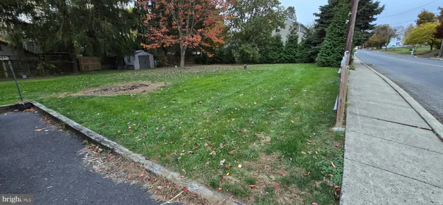 a view of a park with large trees