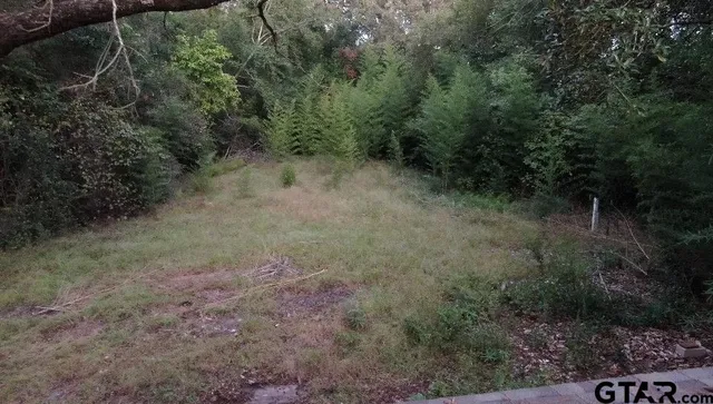 a view of a garden with a fountain