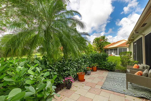 a view of a yard with plants and flowers