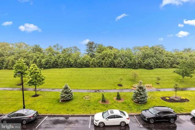 a view of a ocean with cars parked in a yard