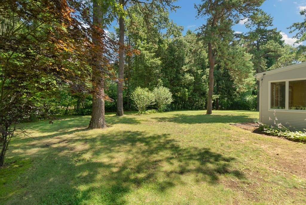 83 Redfern Drive Longmeadow, MA 01106 - Photo 38 of 40 a view of a yard with of trees