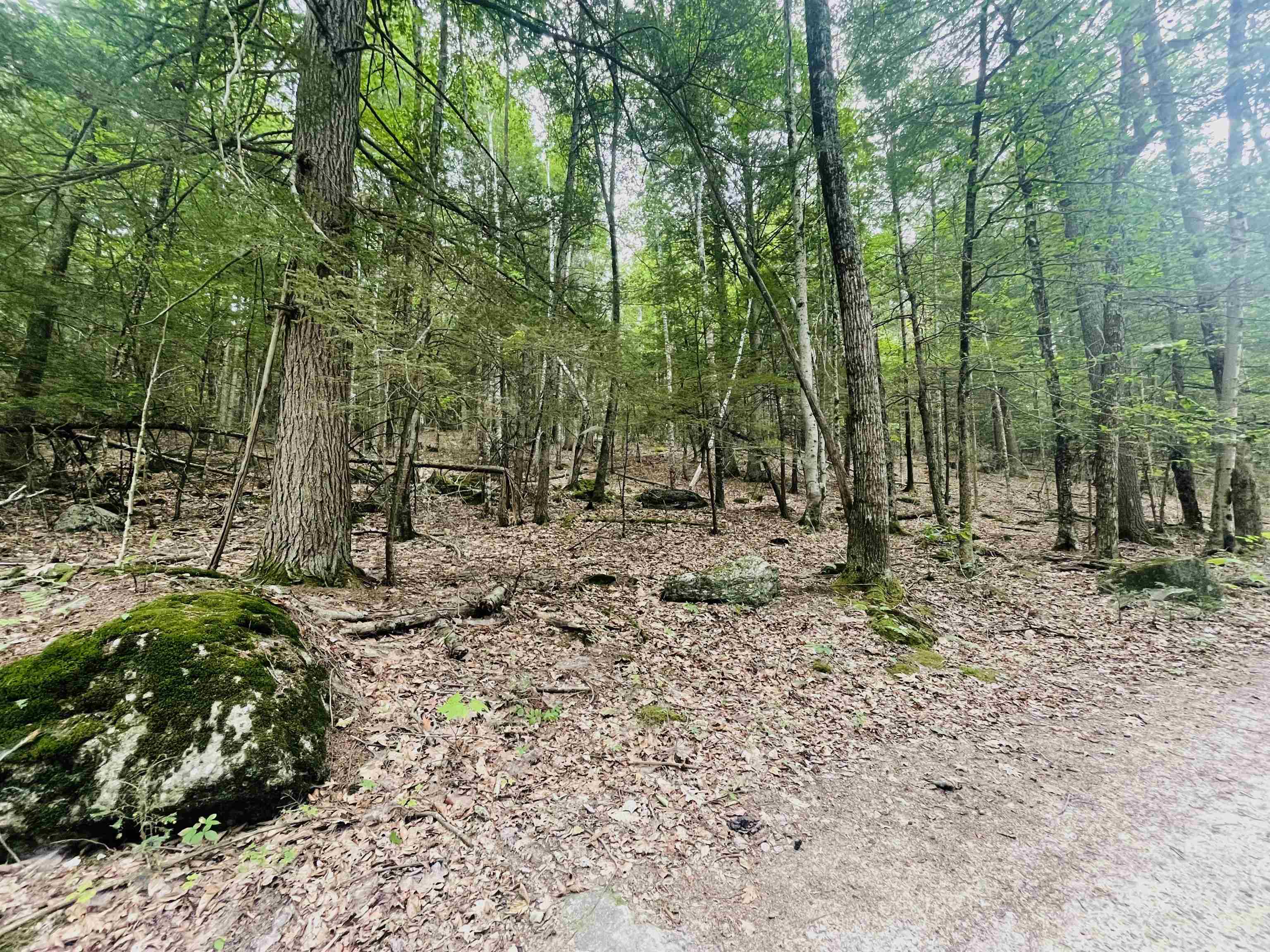 Lot 11 True Road, Unit R23LOT 11 Pittsfield, NH 03263 - Photo 2 of 10
