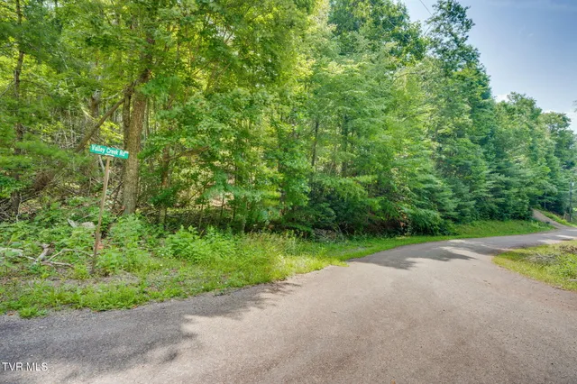 $57,500 | Tbd Preserve Way, Unit 6, Mountain City, TN 37683