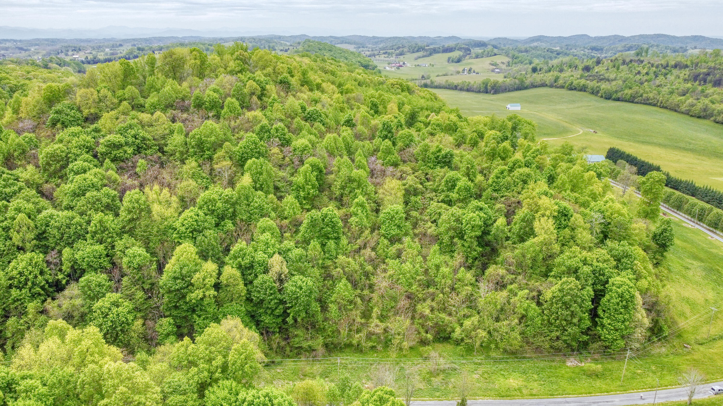 1050 Sugar Bowl Road Chuckey, TN 37641 - Photo 2 of 15 Property View 2