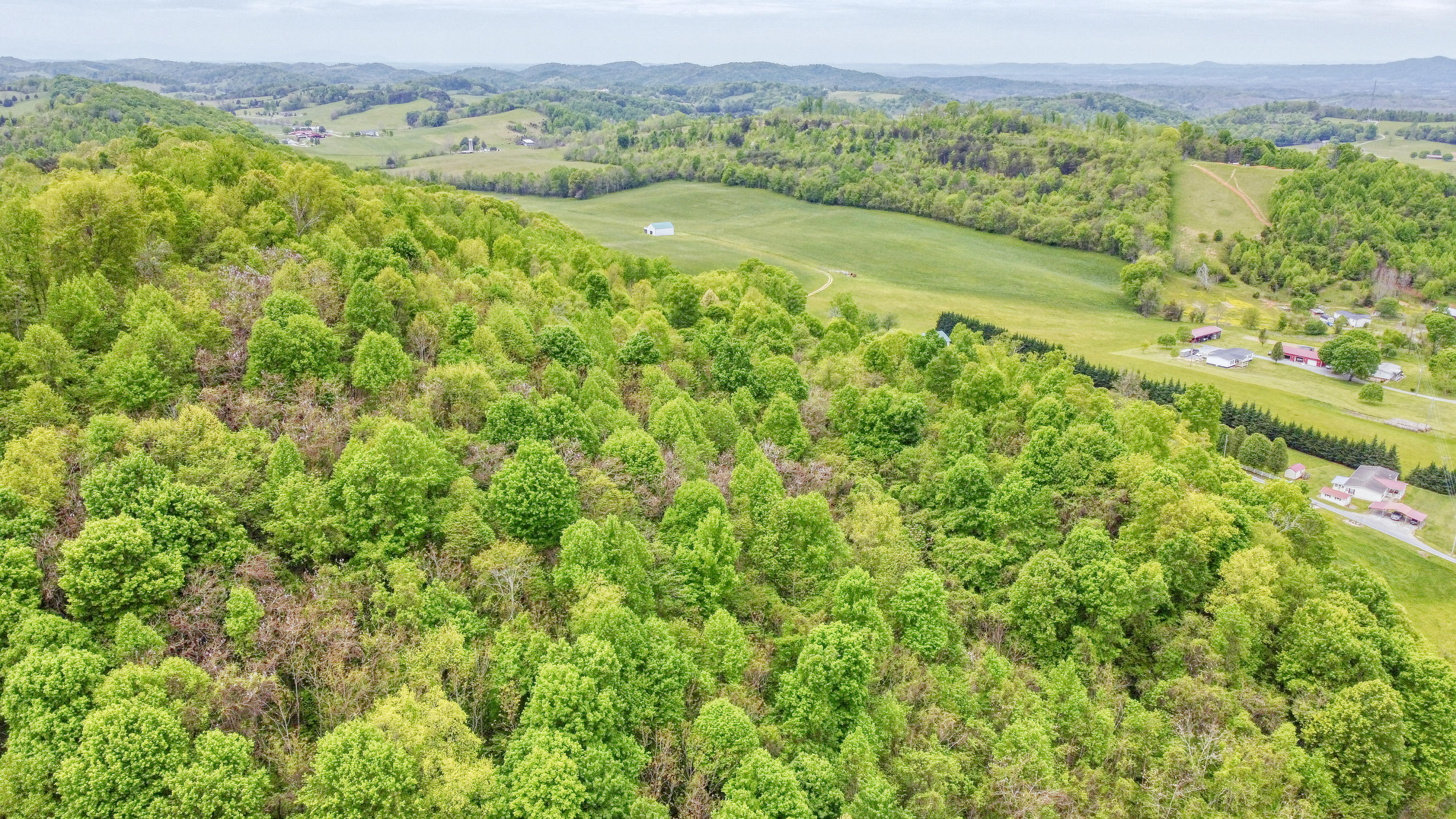 1050 Sugar Bowl Road Chuckey, TN 37641 - Photo 5 of 15 Property from Rear