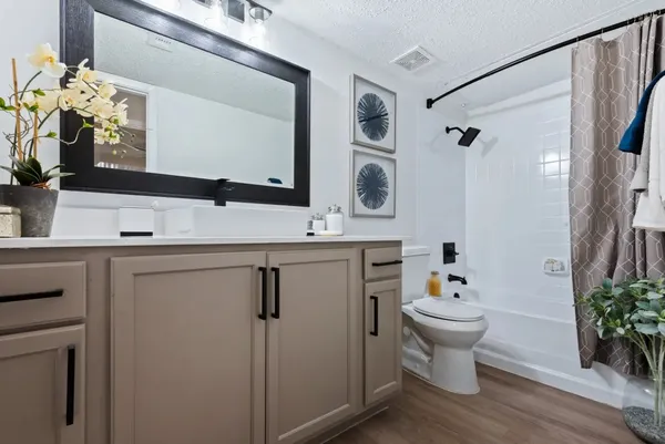 a bathroom with a sink toilet a mirror and vanity