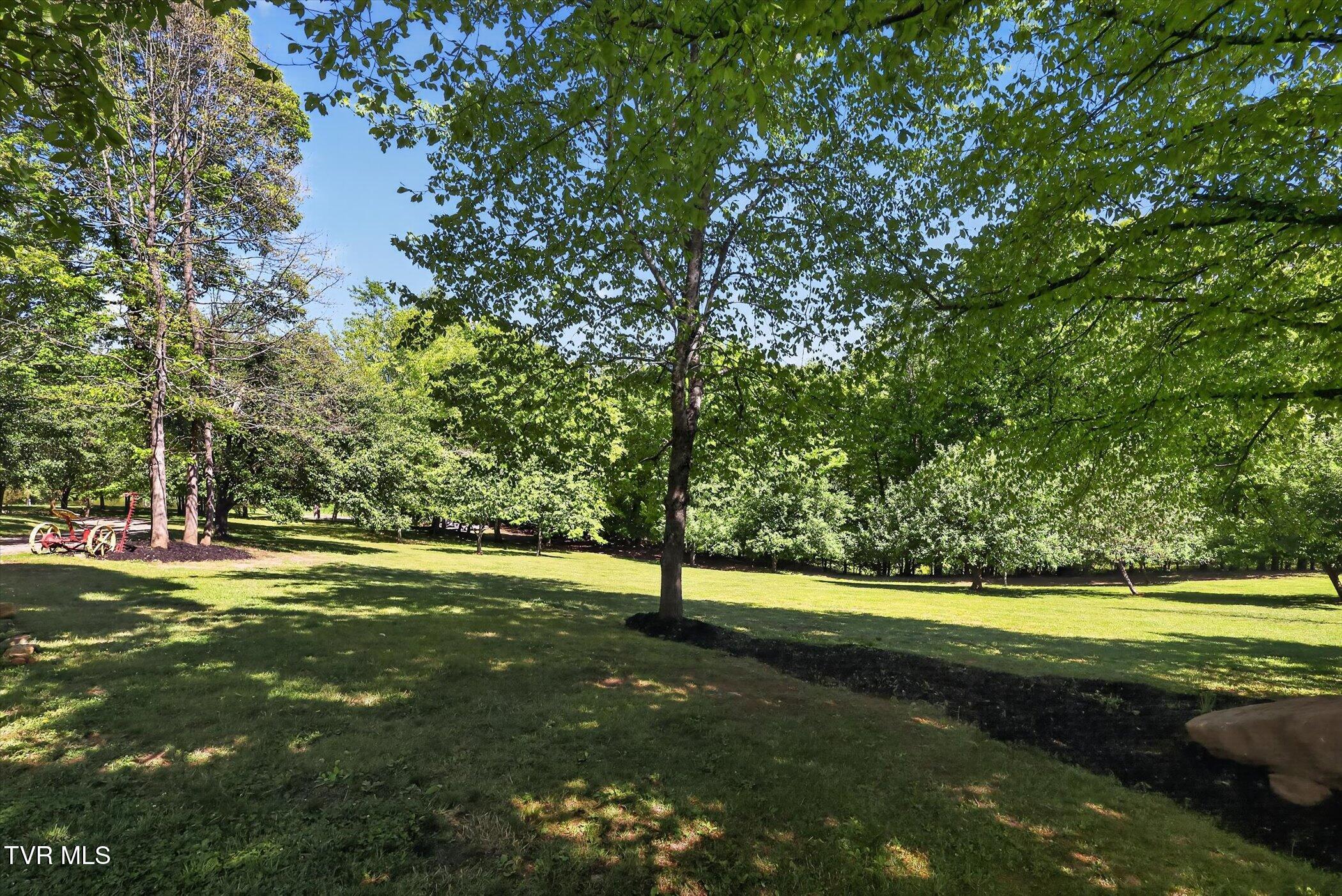 13544 Revera Drive Mendota, VA 24270 - Photo 38 of 58 32-13544-Revera-Dr-Mendota-VA-24270-Wind