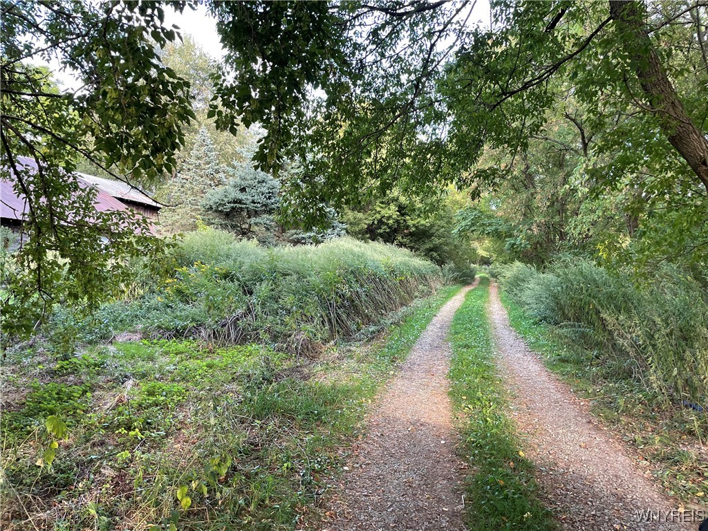 11335 Wyandale Road Concord, NY 14141 - Photo 12 of 29