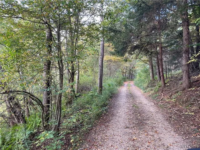 $449,900 | 11335 Wyandale Road, Concord, NY 14141