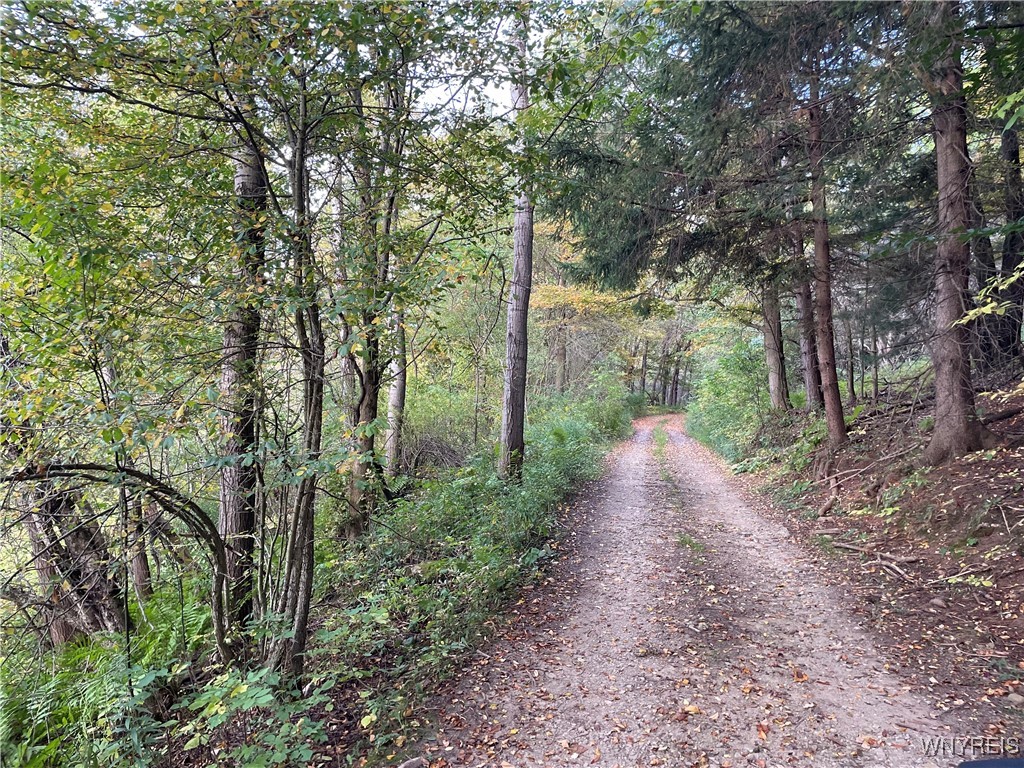 11335 Wyandale Road Concord, NY 14141 - Photo 13 of 29