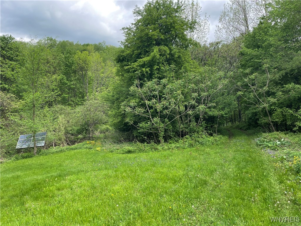 11335 Wyandale Road Concord, NY 14141 - Photo 14 of 29