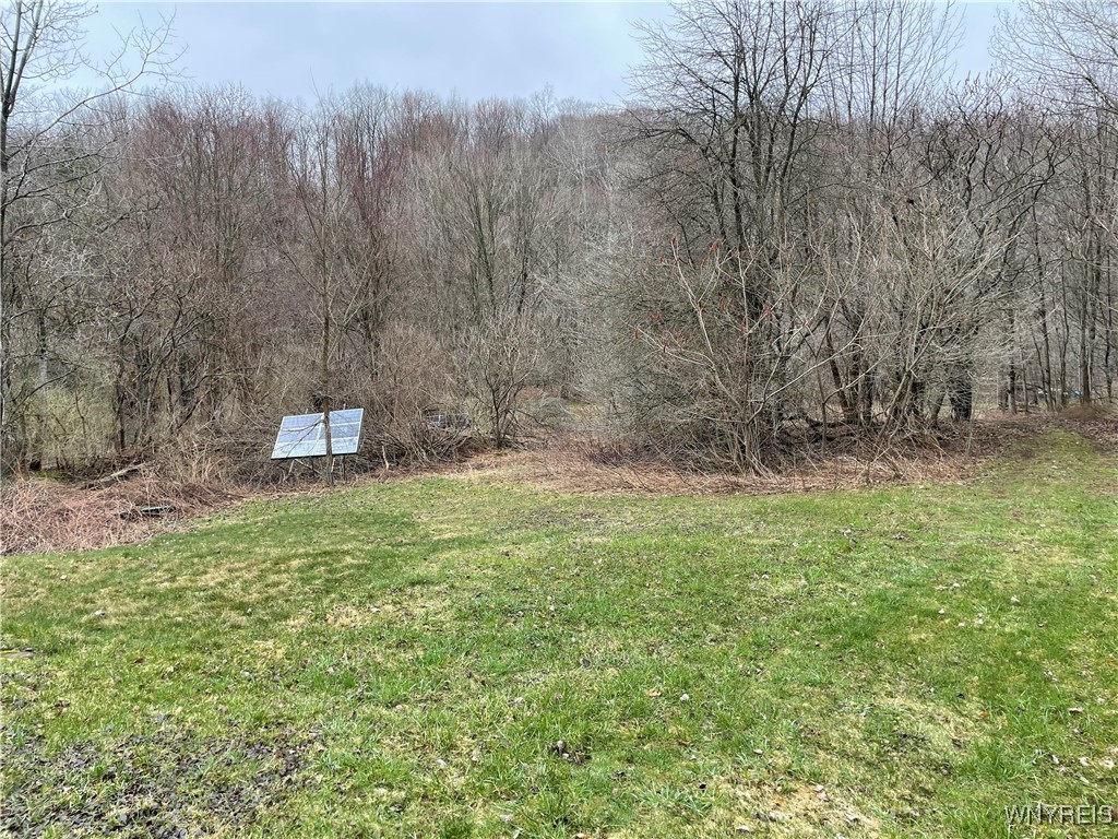 11335 Wyandale Road Concord, NY 14141 - Photo 15 of 29