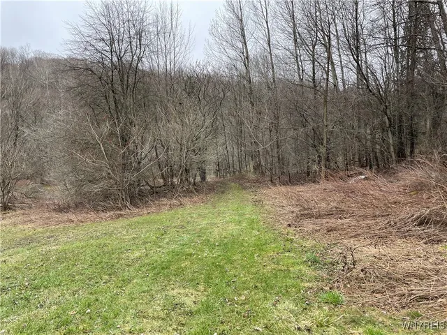 $449,900 | 11335 Wyandale Road, Concord, NY 14141